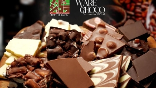 Thumbnail of post image 055