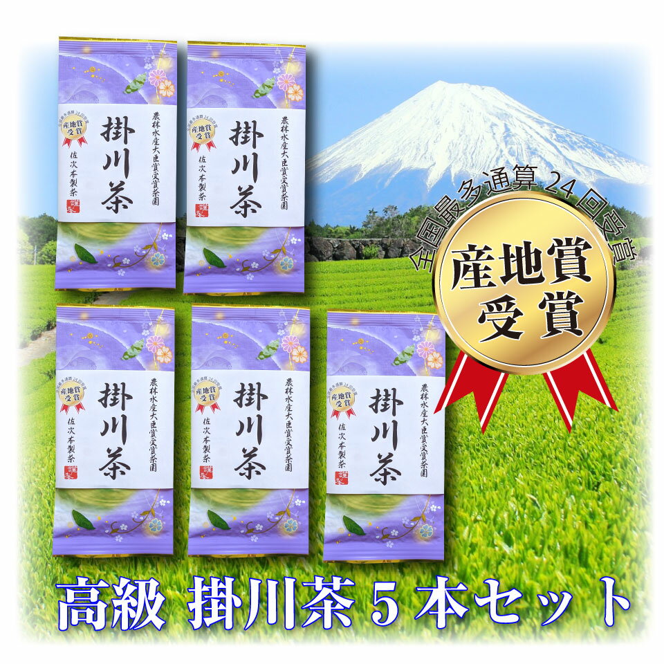 深蒸し 掛川茶 5本セット 掛川 深蒸し茶 深むし茶日本茶 お茶 深蒸し茶 掛川茶 静岡茶 煎茶 緑茶 深むし茶 SS