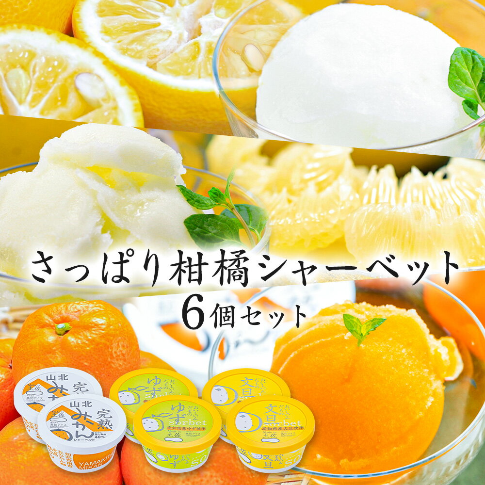 【送料込み】お中元 早割 アイスクリーム さっぱりシャーベット6個セット 【冷凍】【同梱可】【送料無料】2025 食品 プチギフト アイス 詰め合わせ 内祝い お土産 お歳暮 高知 四国 プレゼント お取り寄せグルメ 父の日 出産 スイーツ お菓子 おすすめ