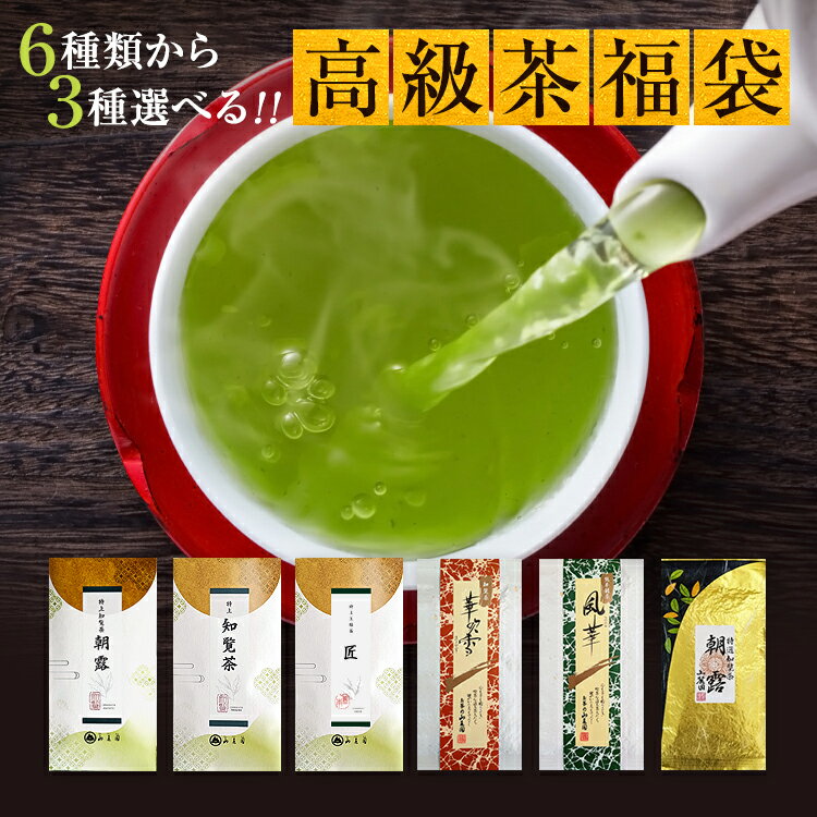 【ポイント6倍】 父の日 お茶 ギフト 2025年 新茶 母の日 プレゼント 2025 茶通も唸る！選べる高級茶福袋 100g×3個 300g 送料無料 特上 あさつゆ さえみどり 知覧茶 【 お供え 内祝 香典返し 極上 緑茶 茶葉 ぐり茶 お茶の葉 お茶っ葉 70代 80代 】
